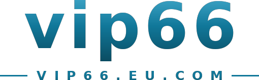vip66 logo